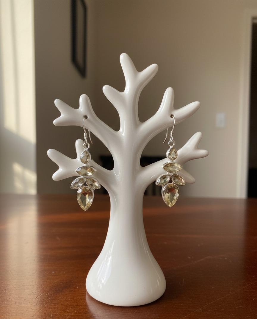 hridajewells product